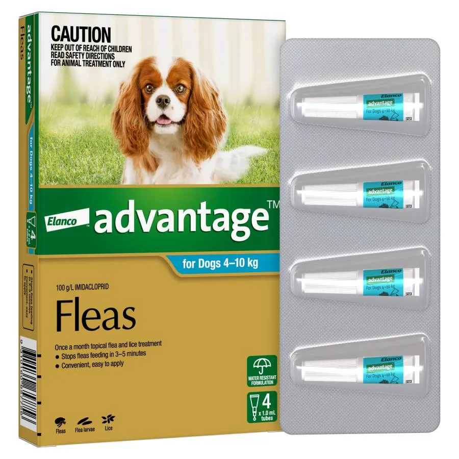 Advantage Dog Medium Aqua