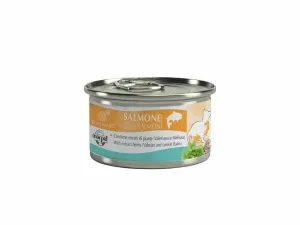 Aequilibriavet Cat 85 G  -  Salmon