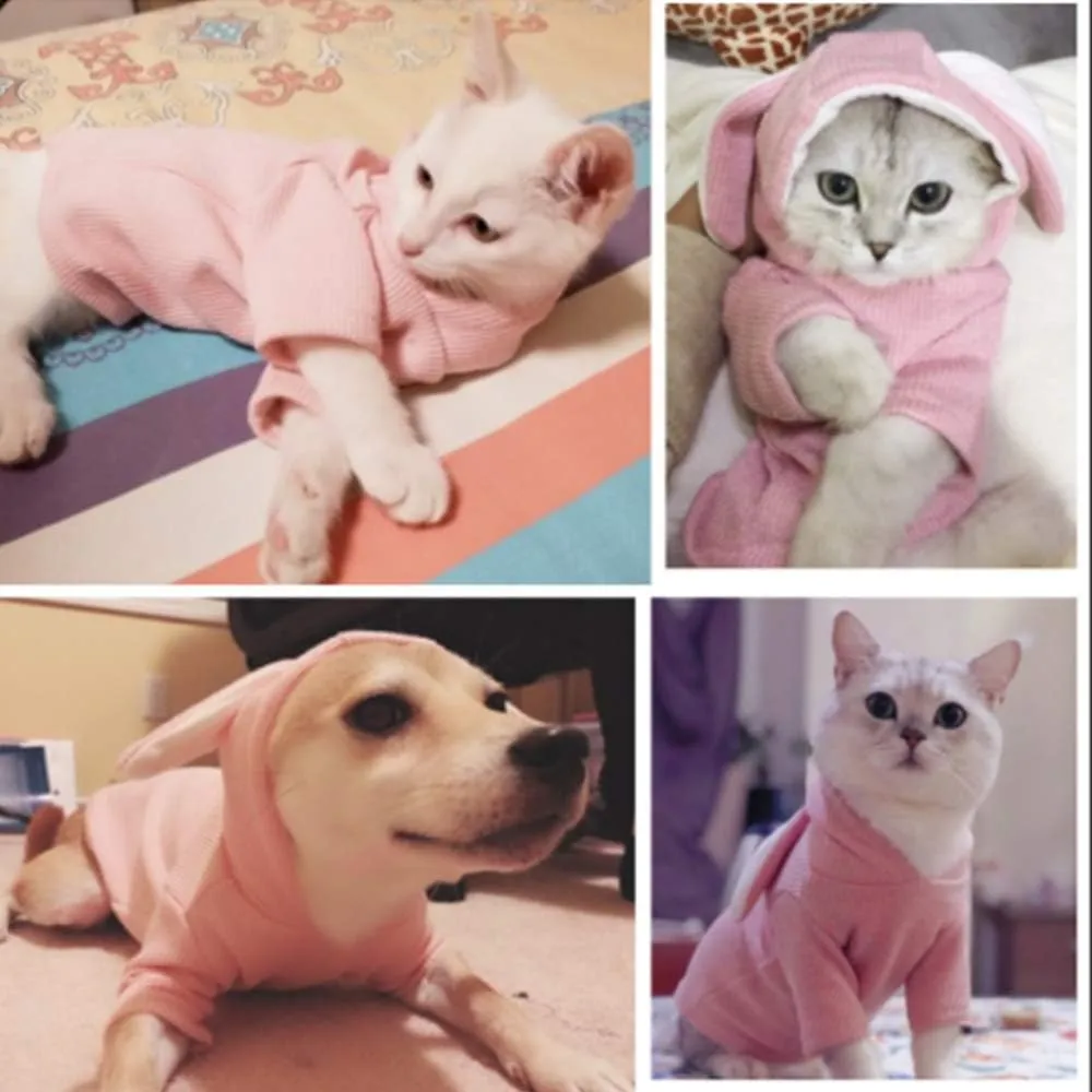ANIAC Dog Hoodies Sweatshirt with Bunny Ears Spring Puppy Clothes for Small Dog Girl Boy Soft Doggy Sweater Cat Apparel Pet Clothing for Kitten Pomeranian Chihuahua(X-Small, Pink)