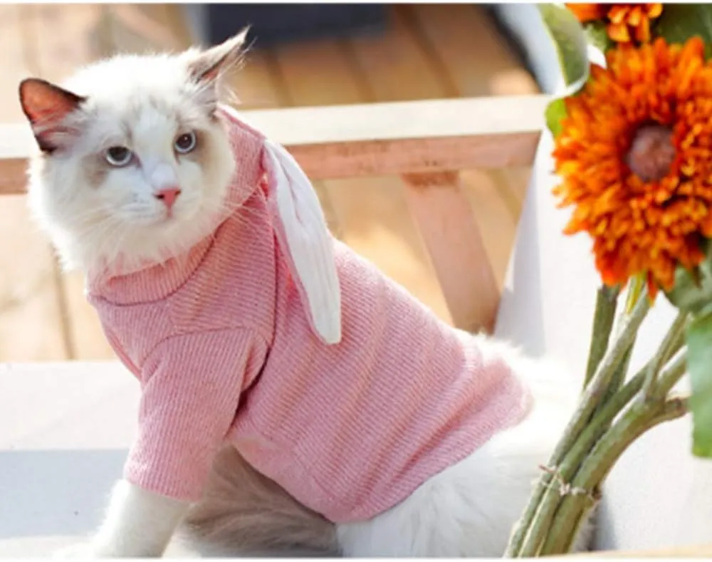 ANIAC Dog Hoodies Sweatshirt with Bunny Ears Spring Puppy Clothes for Small Dog Girl Boy Soft Doggy Sweater Cat Apparel Pet Clothing for Kitten Pomeranian Chihuahua(X-Small, Pink)