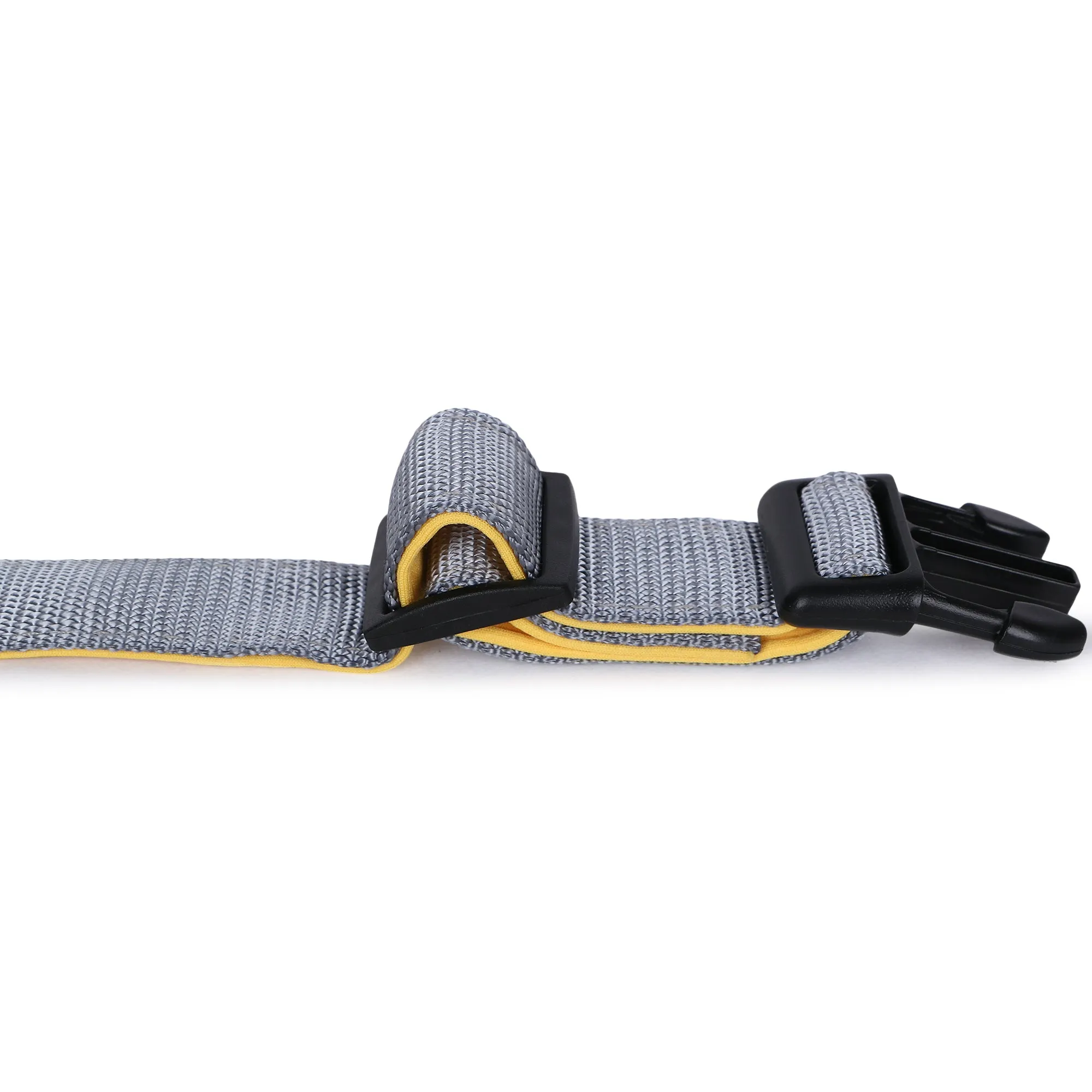 Basil Padded Adjustable Collar for Dogs & Puppies (grey)