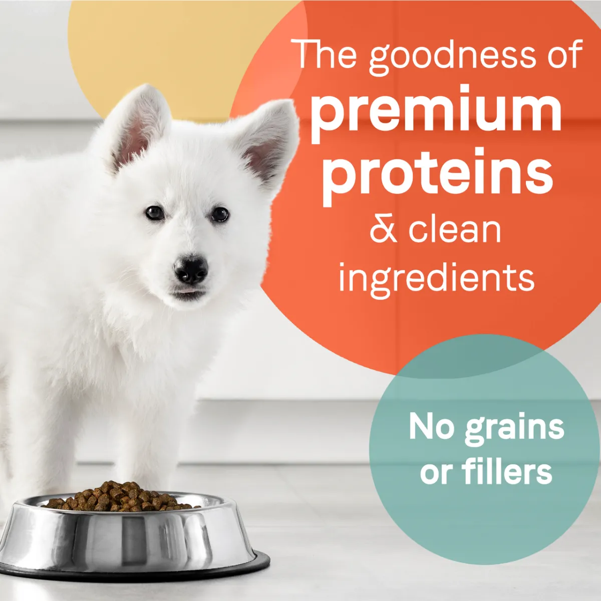Canidae Pure Grain Free Salmon & Sweet Potato Dry Puppy Dog Food 4lb