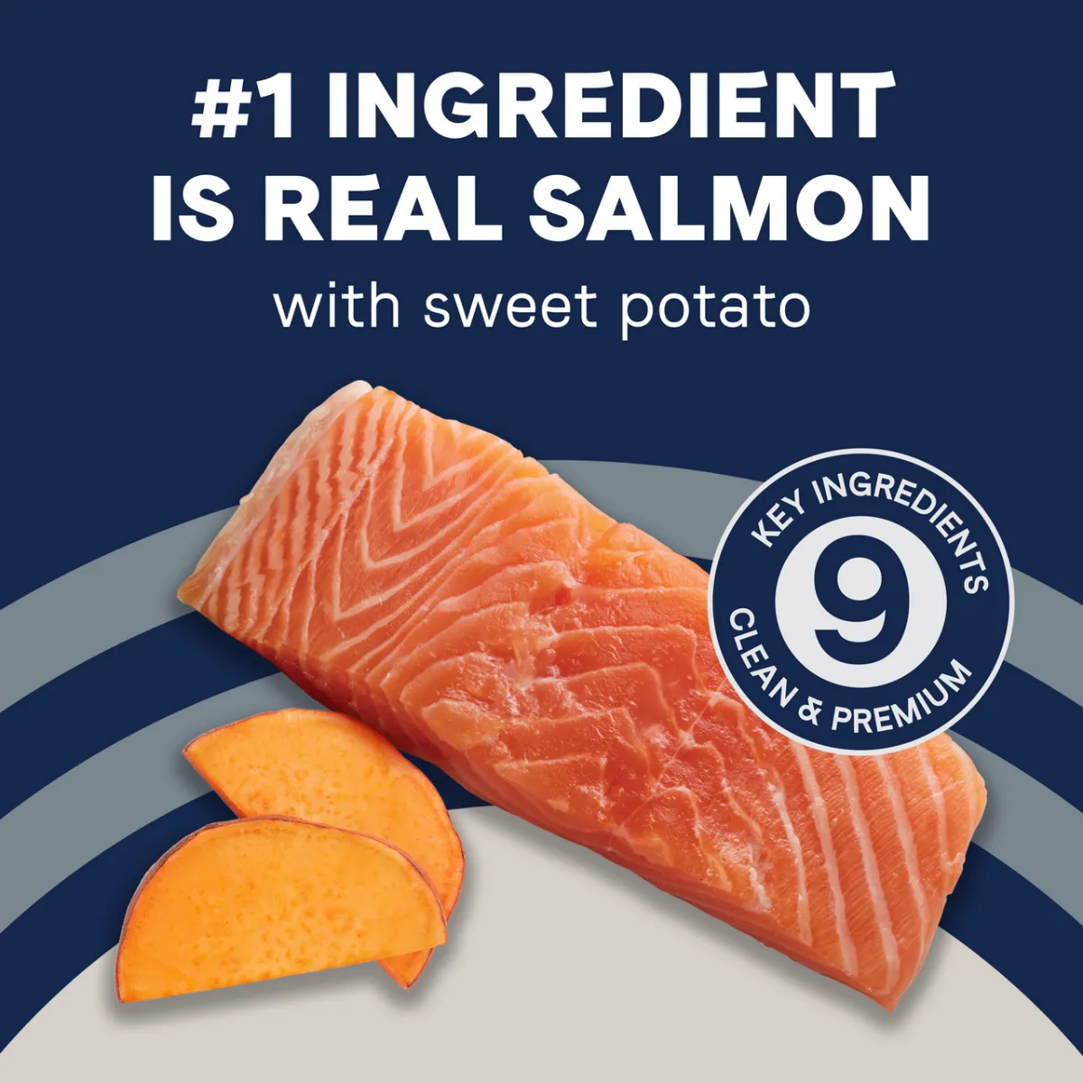 Canidae Pure Grain Free Salmon & Sweet Potato Dry Puppy Dog Food 4lb