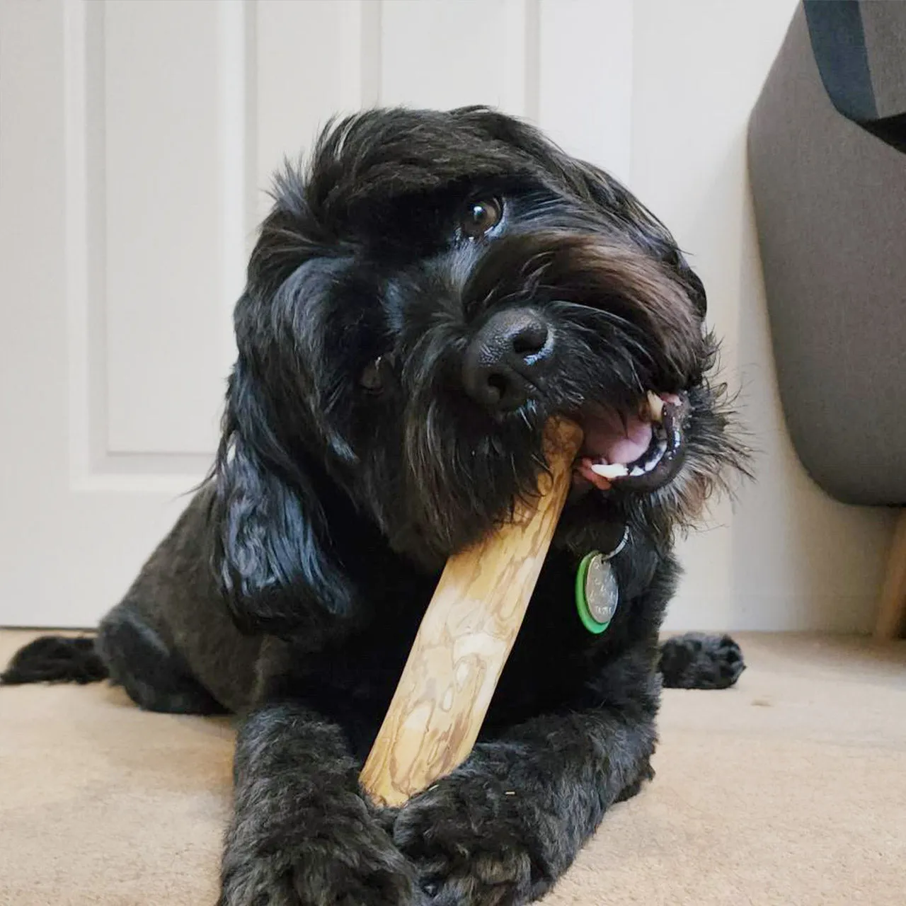 Coffee Wood Chew