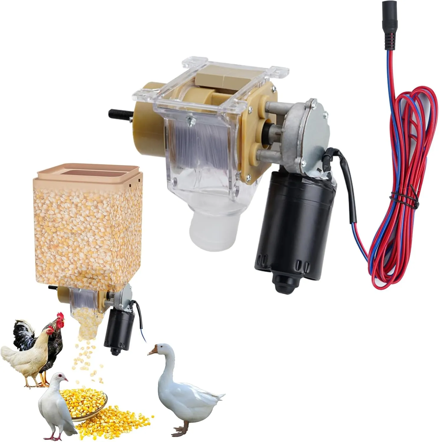 DIY Timed Poultry Feeder - Quantitative Feeder for Chickens, Ducks, Geese, Pigeons, Dogs, Fish, Cats