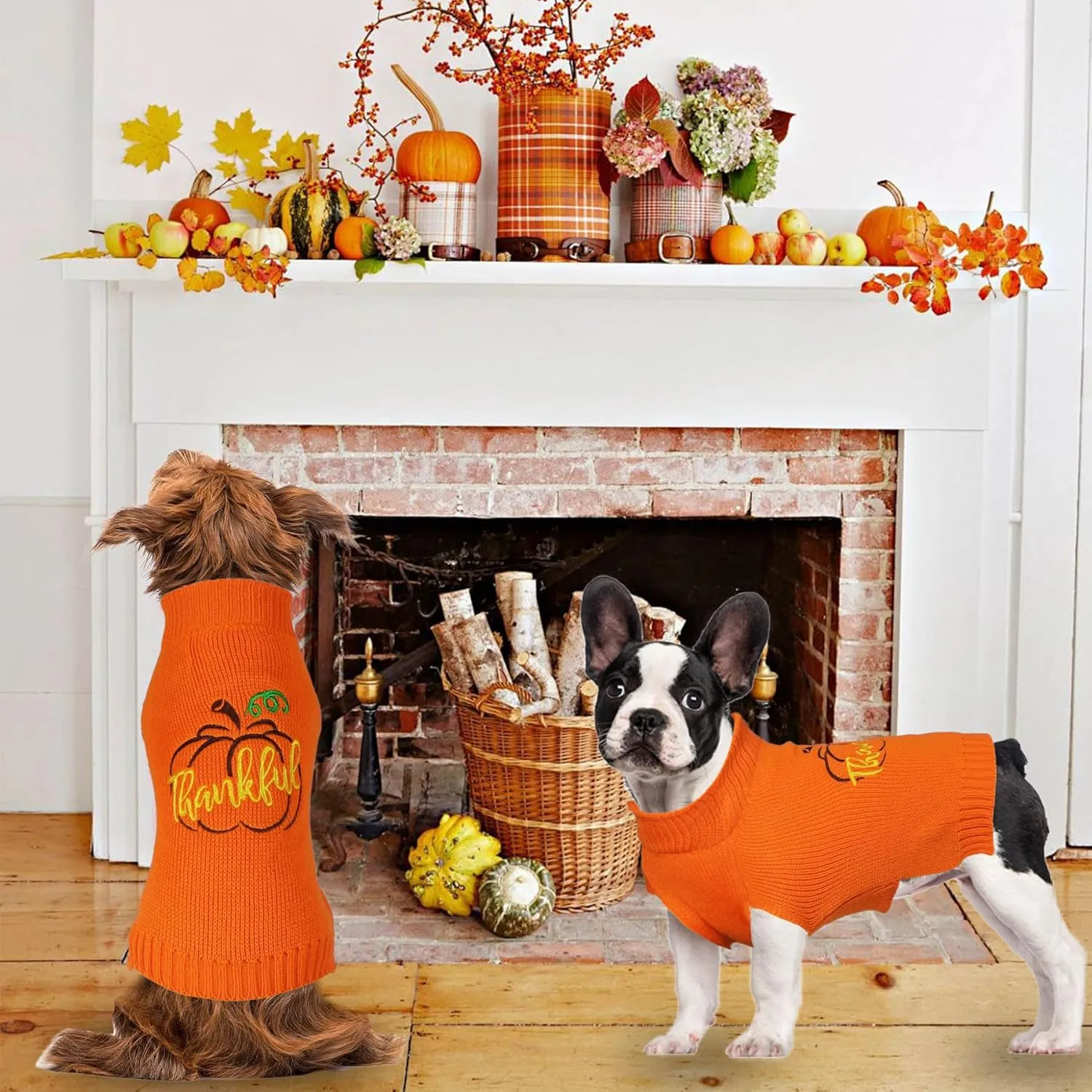 Dog Thanksgiving Sweater, Knitted Thanksgiving Fall Holiday Dog Sweaters Outfit Clothes for Small Medium Large Dogs Pets (Orange, Small)