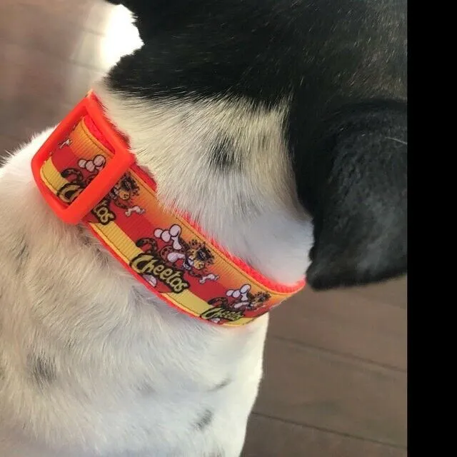 Football cat or small dog collar 1/2" wide adjustable handmade bell or leash Petcollarshandmade