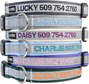 GoTags Reflective Personalized Dog Collar, Custom Embroidered Safety Collar with Pet Name and Phone Number for Boy and Girl Dogs, Small, Medium, and Large Adjustable Sizes (Small, Beige)