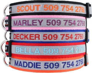 GoTags Reflective Personalized Dog Collar, Custom Embroidered with Pet Name and Phone Number in Orange for Boy and Girl Dogs, 3 Adjustable Sizes, Small, Medium, and Large