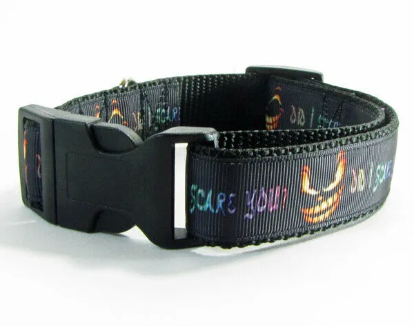Horror dog collar handmade adjustable buckle collar 1"wide or leash Petcollarshandmade