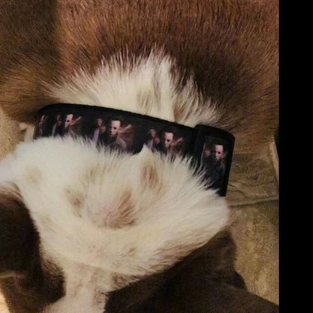 Horror dog collar handmade adjustable buckle collar 1"wide or leash Petcollarshandmade