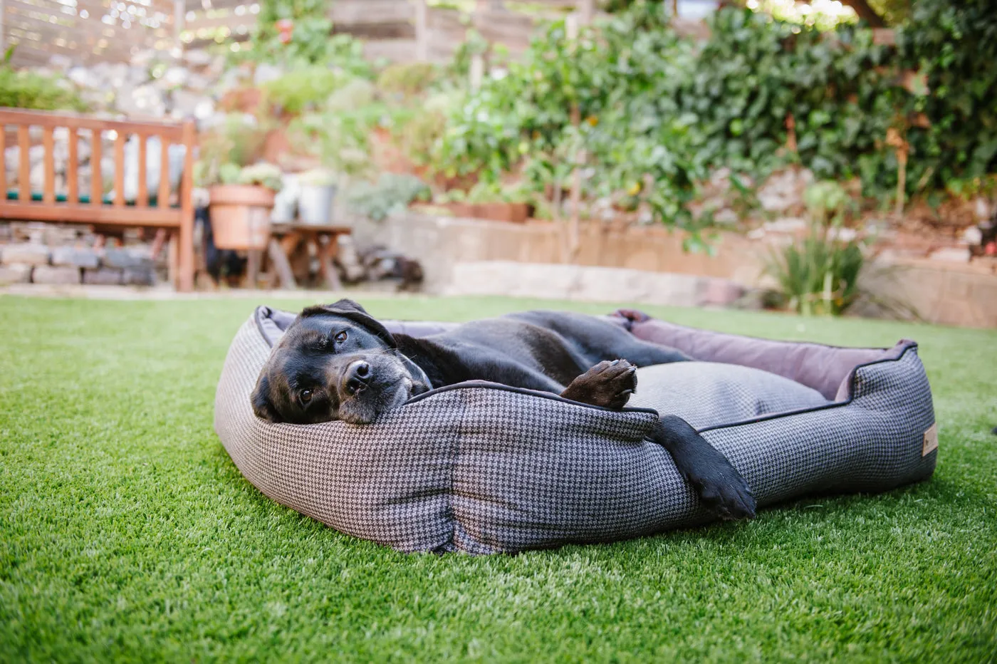 Houndstooth Lounge Bed