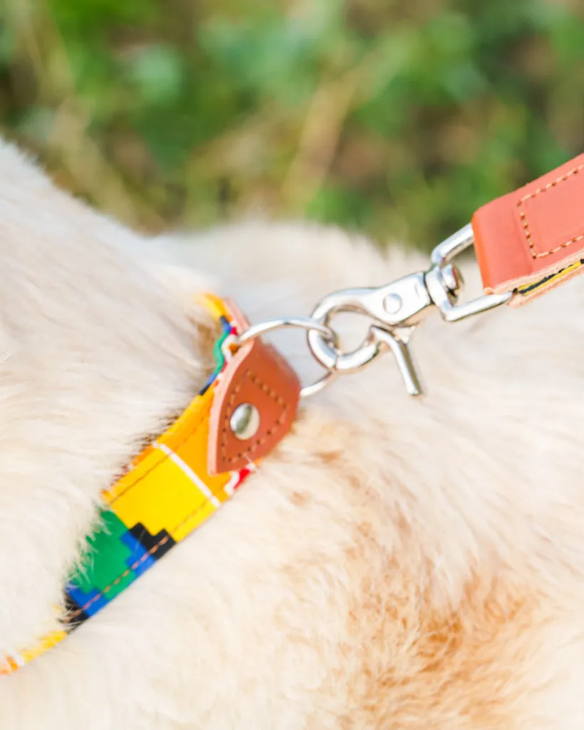 Kente Dog Collar