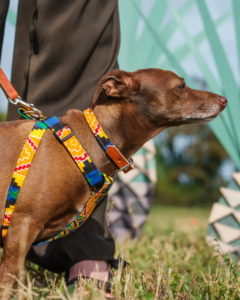 Kente Dog Collar
