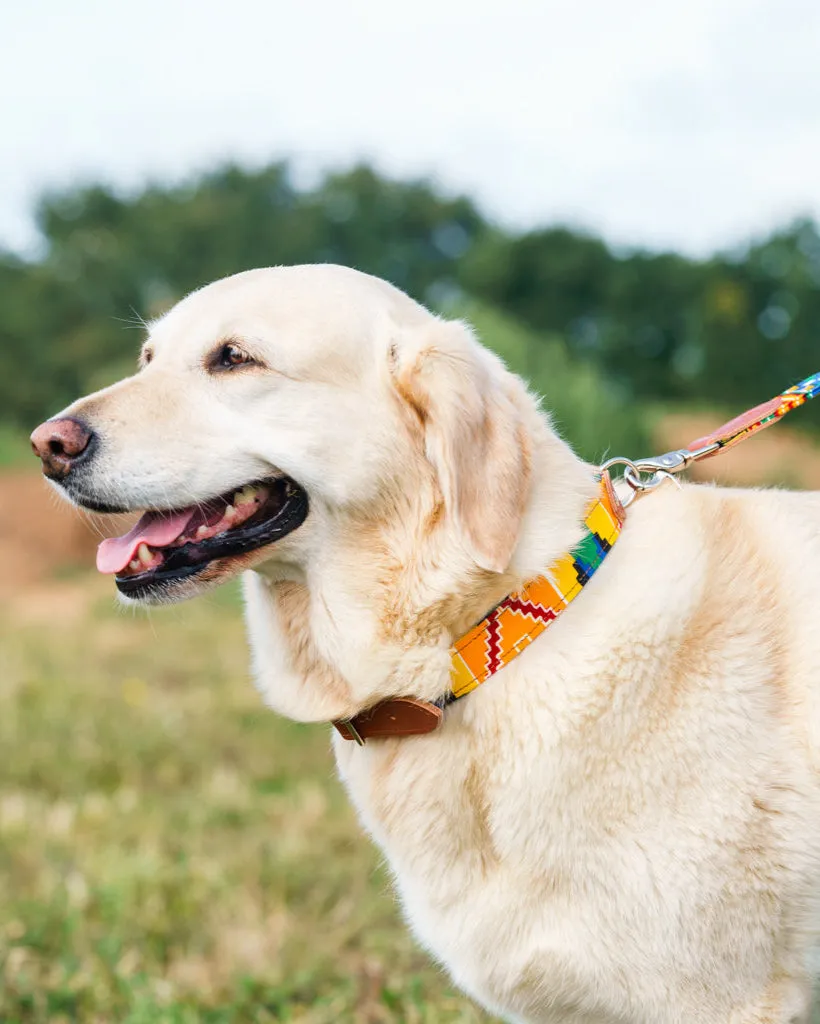 Kente Dog Collar