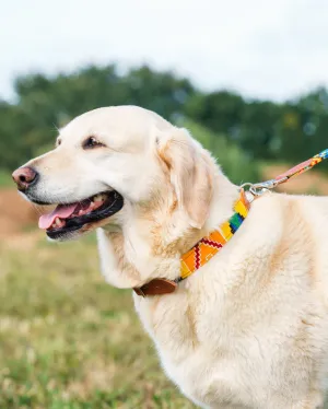 Kente Dog Collar