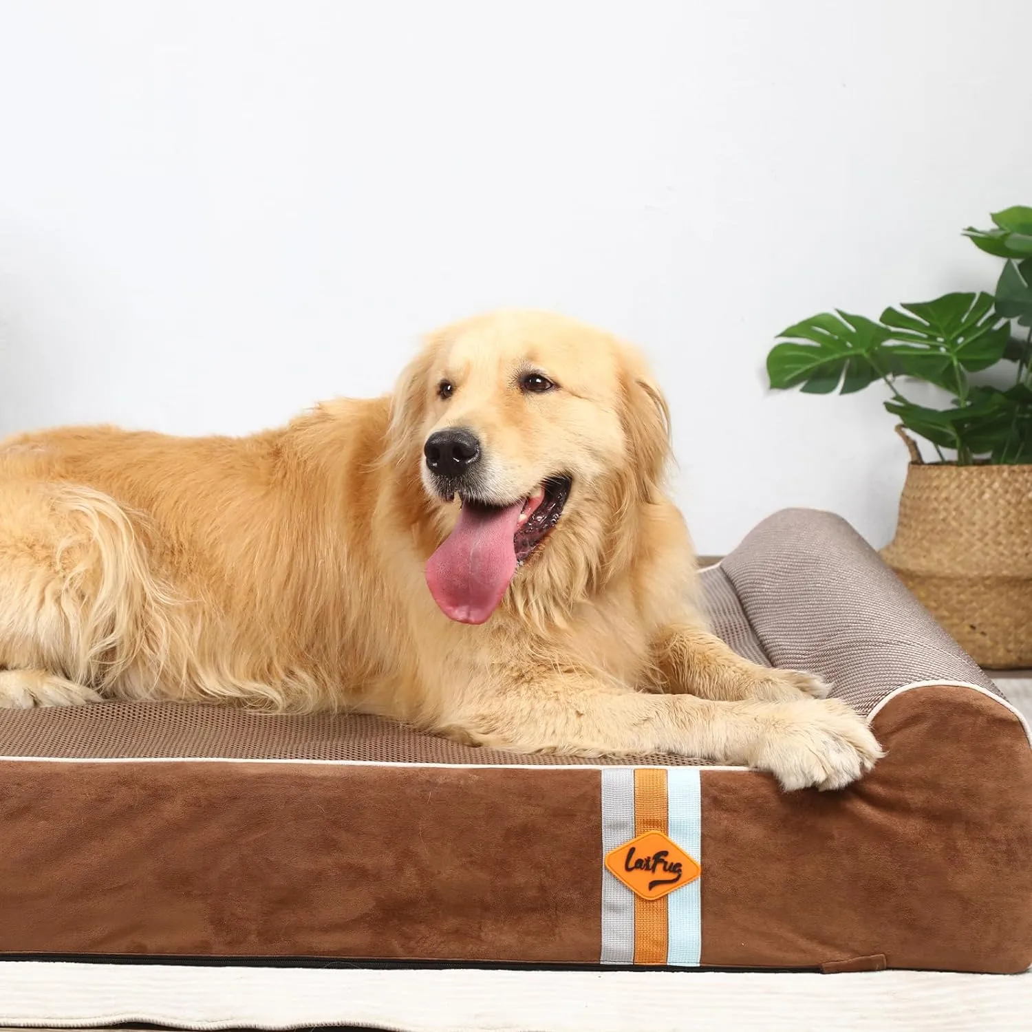Laifug 422 Jumbo Dog Bed 50"L x 36"W x 10"H