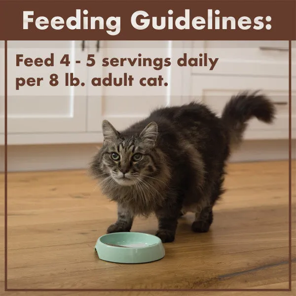 Nutro Grain Free Natural Wet Cat Food Paté Chicken, Liver, & Shrimp Recipe, 2.64-oz Case of 24