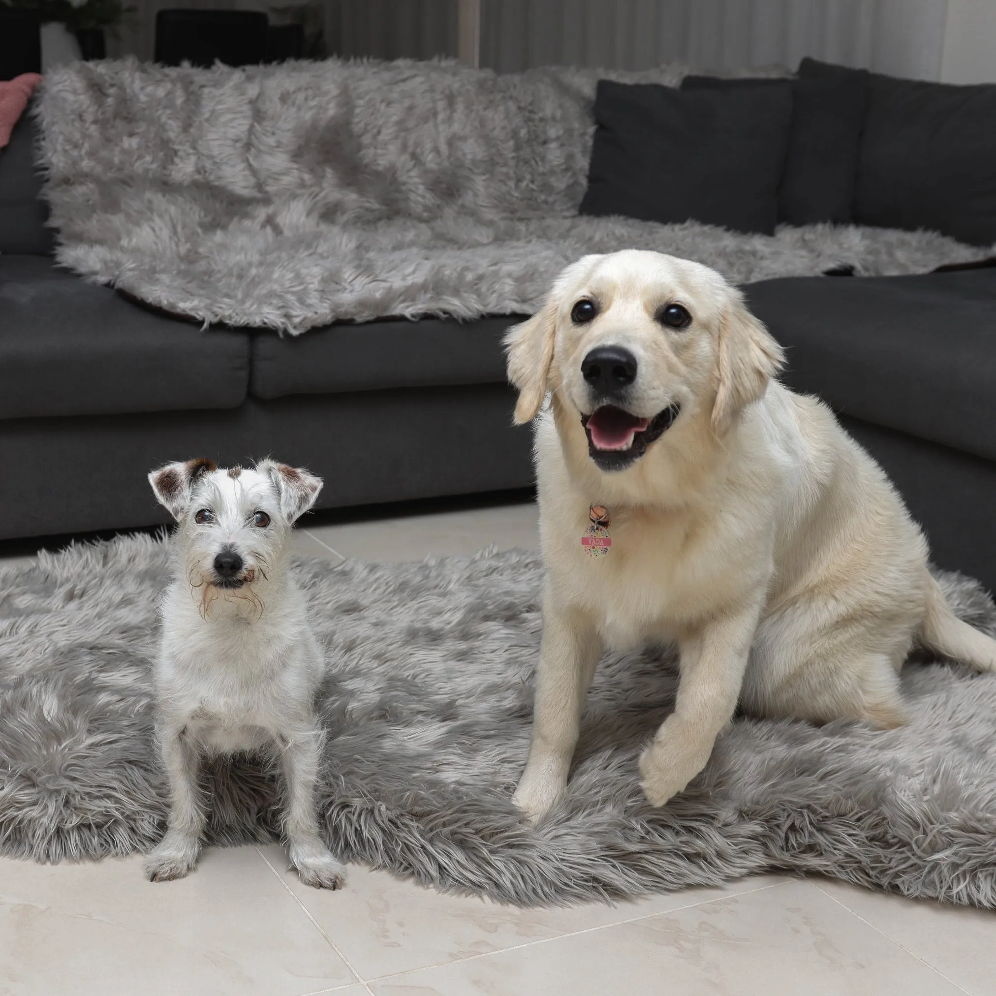 Original OrthoRug™ Luxury Orthopedic Bed