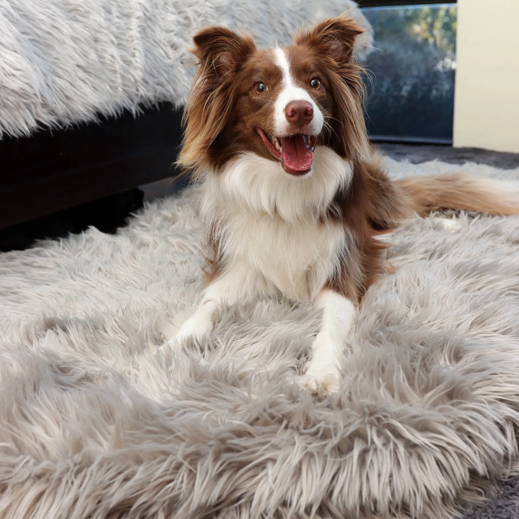Original OrthoRug™ Luxury Orthopedic Bed