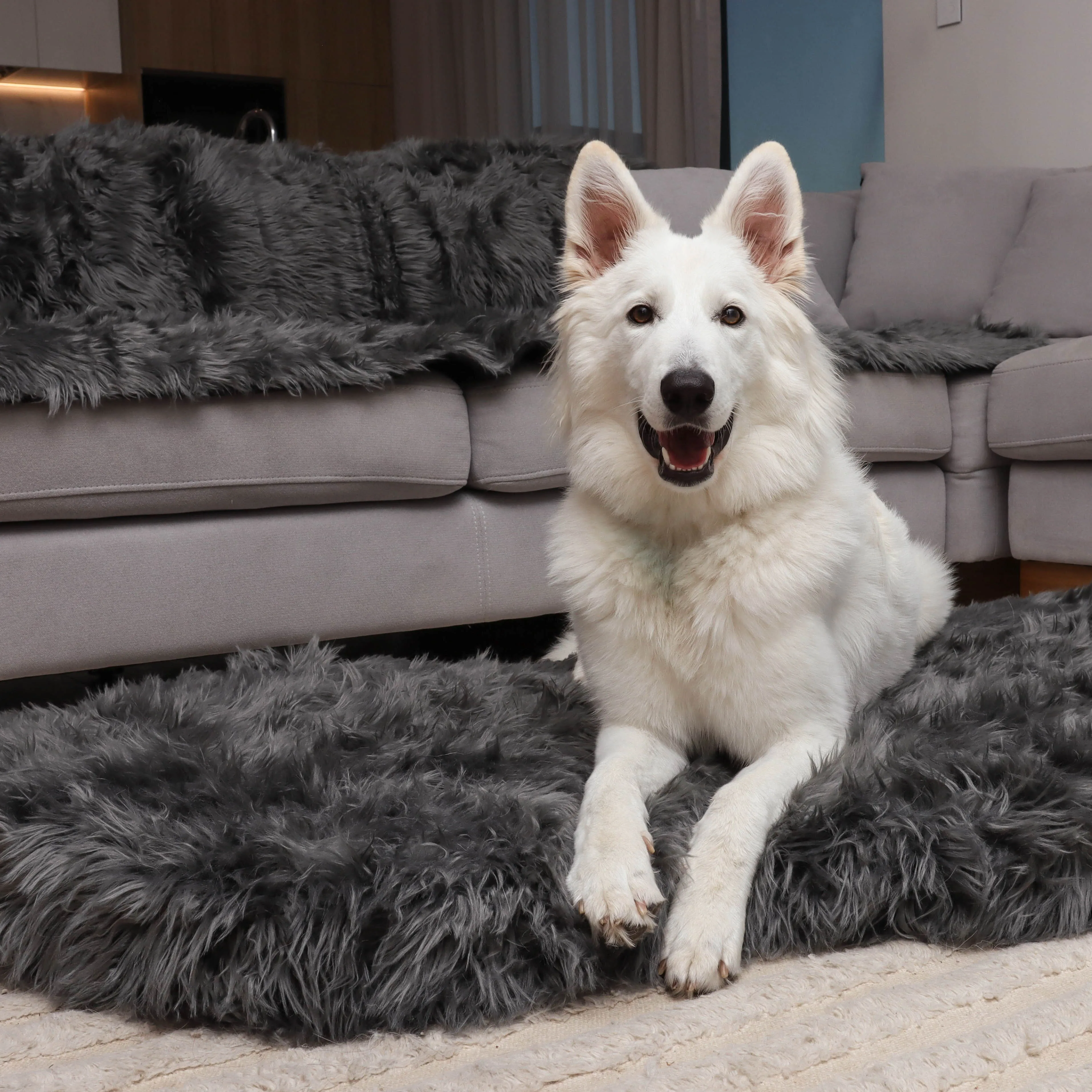 Original OrthoRug™ Luxury Orthopedic Bed