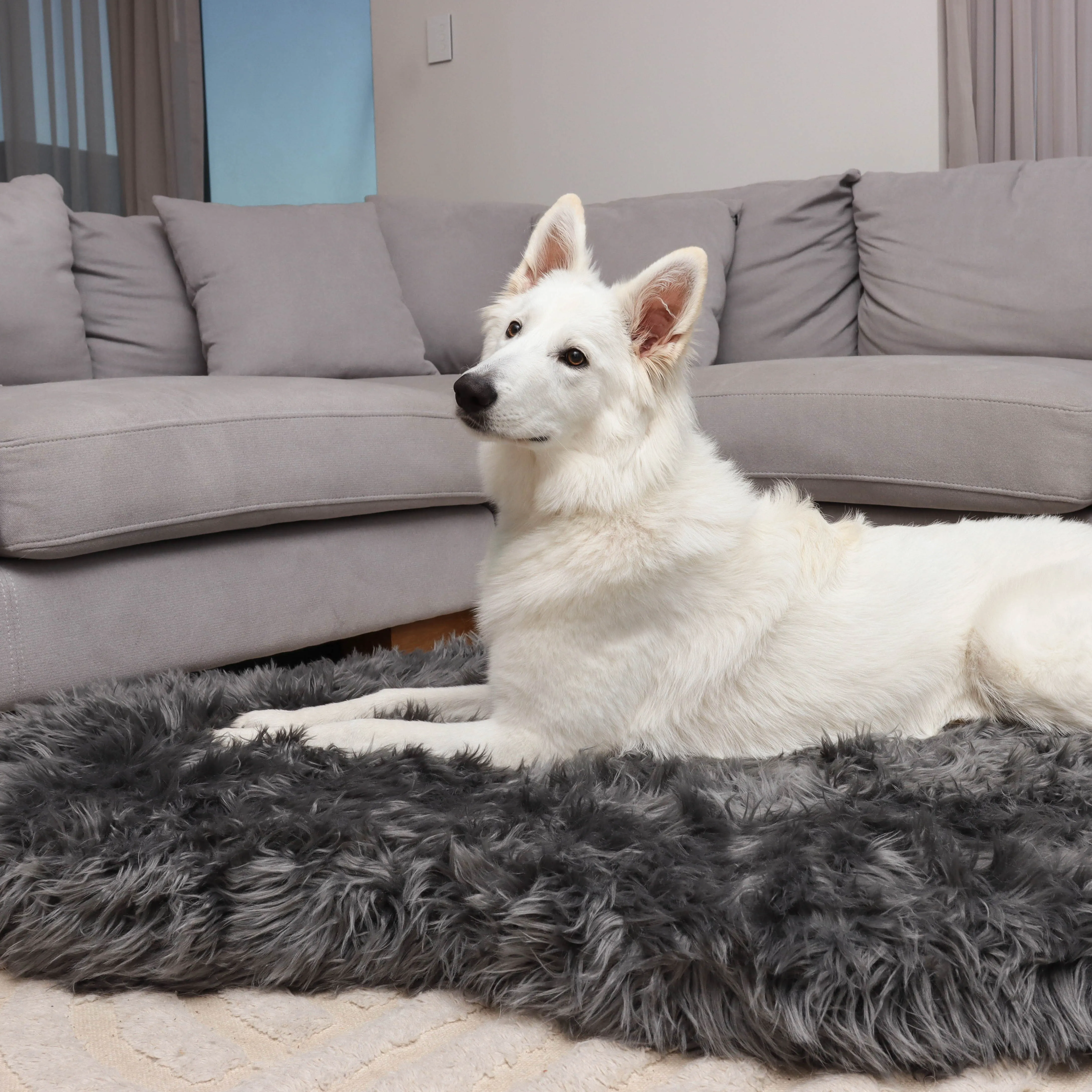 Original OrthoRug™ Luxury Orthopedic Bed