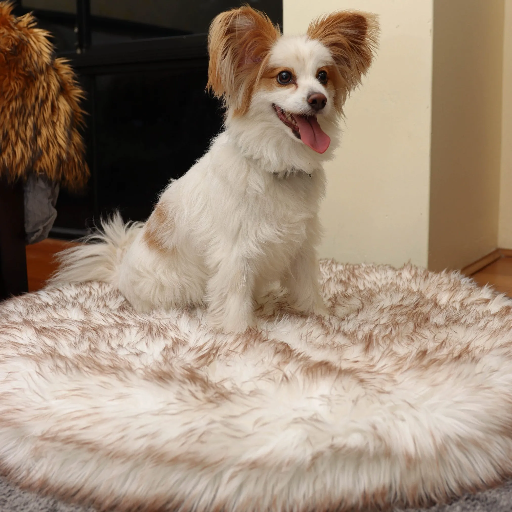 Original OrthoRug™ Luxury Orthopedic Bed