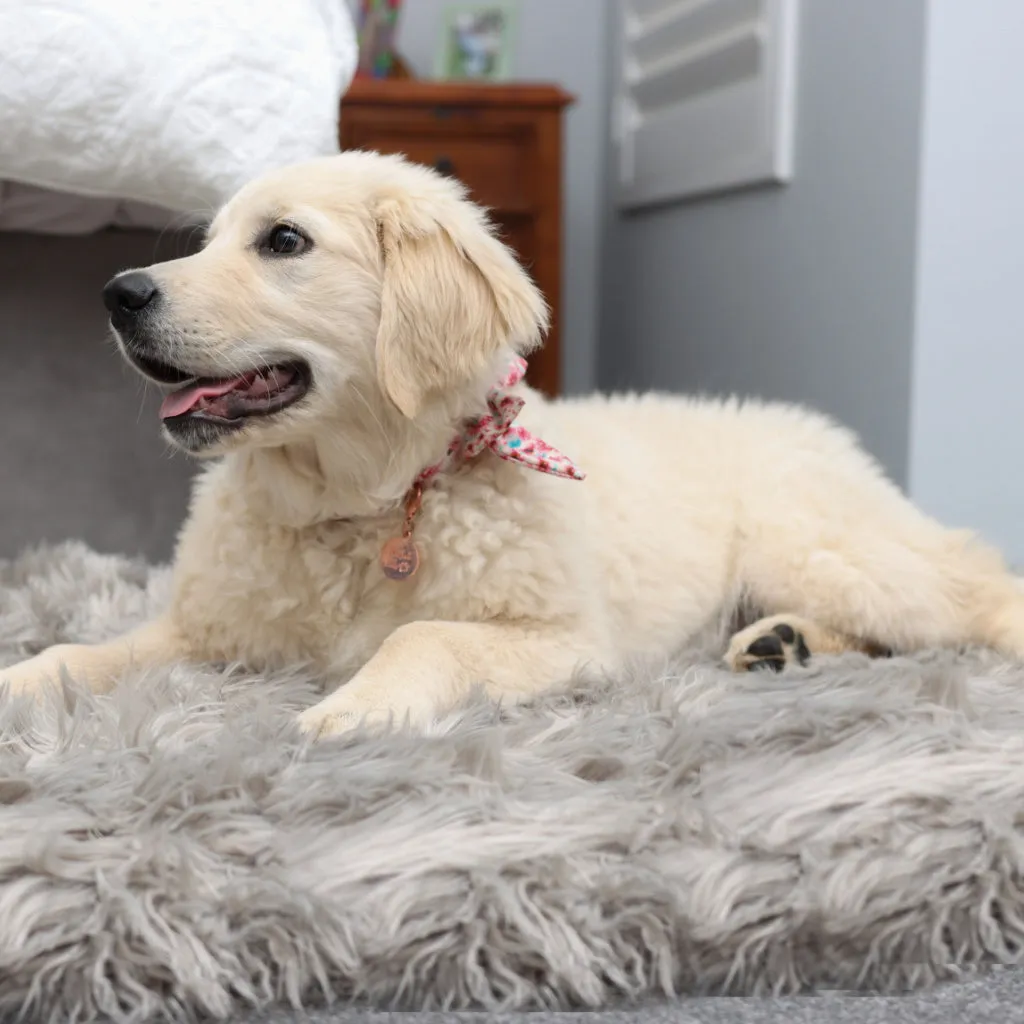 Original OrthoRug™ Luxury Orthopedic Bed