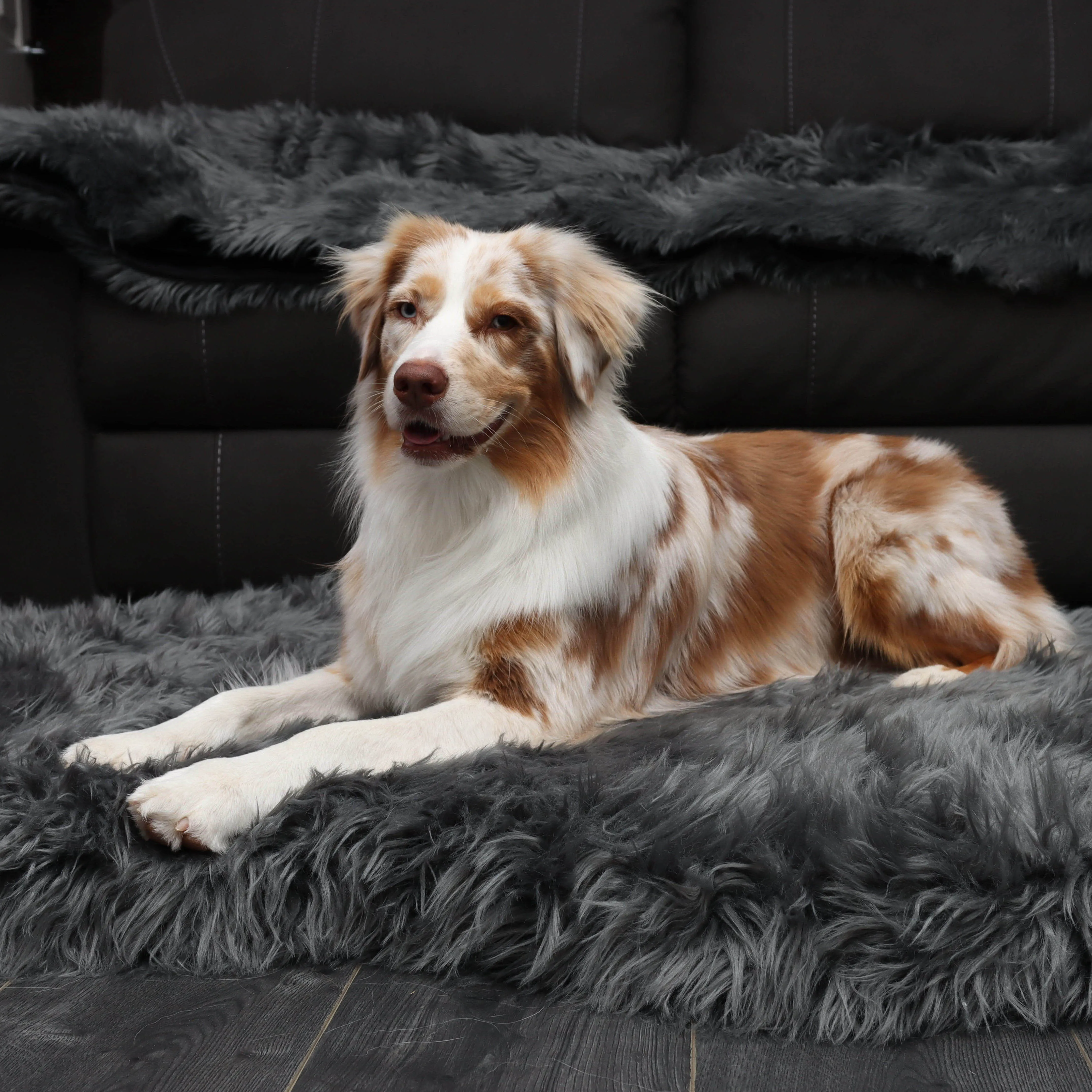 Original OrthoRug™ Luxury Orthopedic Bed