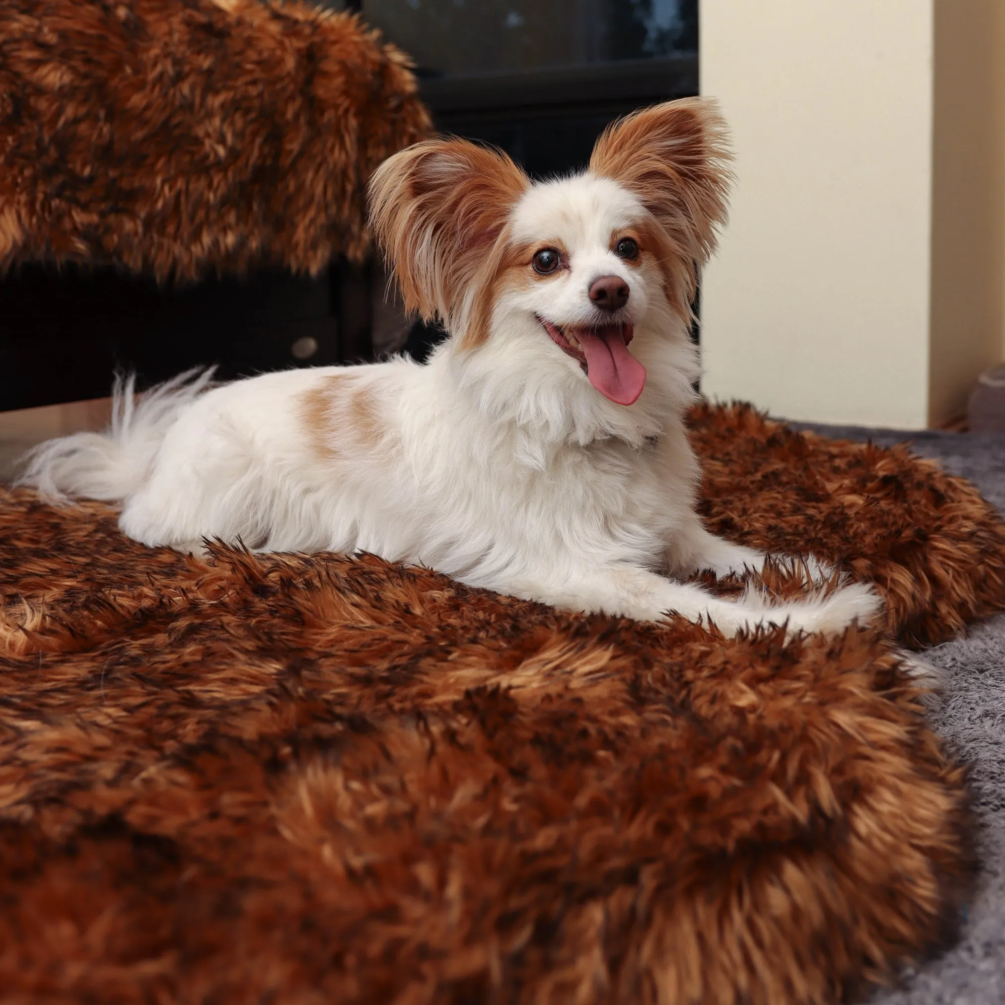 Original OrthoRug™ Luxury Orthopedic Bed