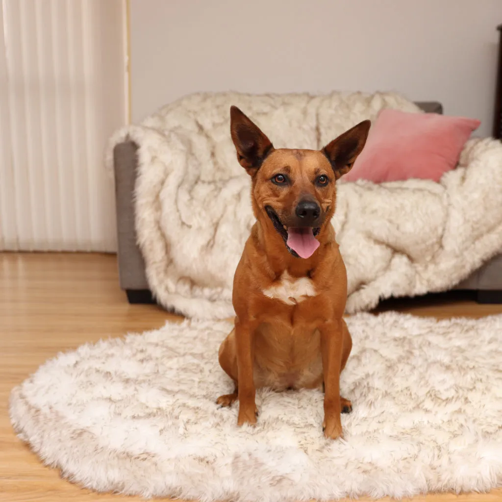 Original OrthoRug™ Luxury Orthopedic Bed