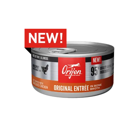 Orijen Original Entrée In Bone Broth, Wet Cat Food
