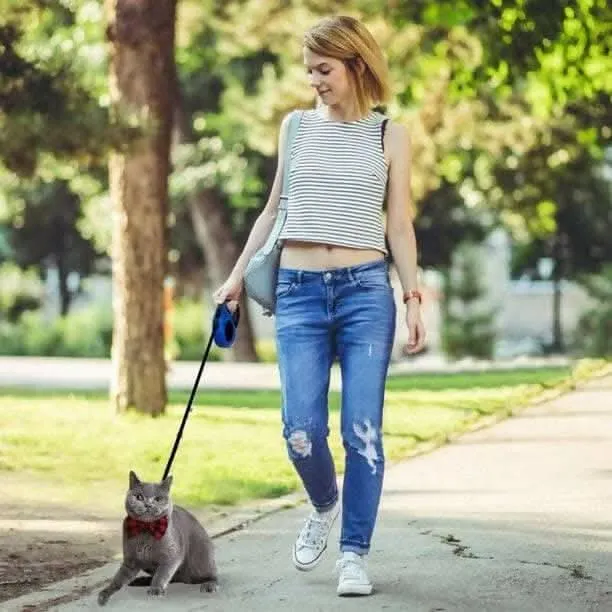 PetGains PGGGY 3M Retractable Leash Automatic Flexible Pet Dog Leash (Red)