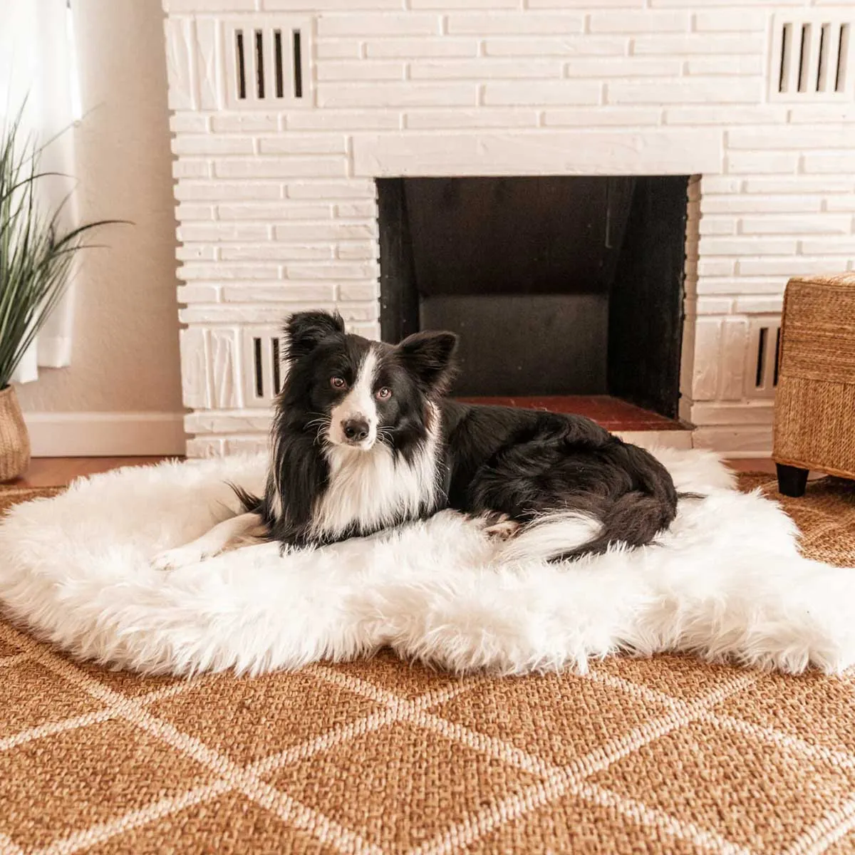 PupRug Faux Fur Curved Orthopedic Dog Bed - Polar White