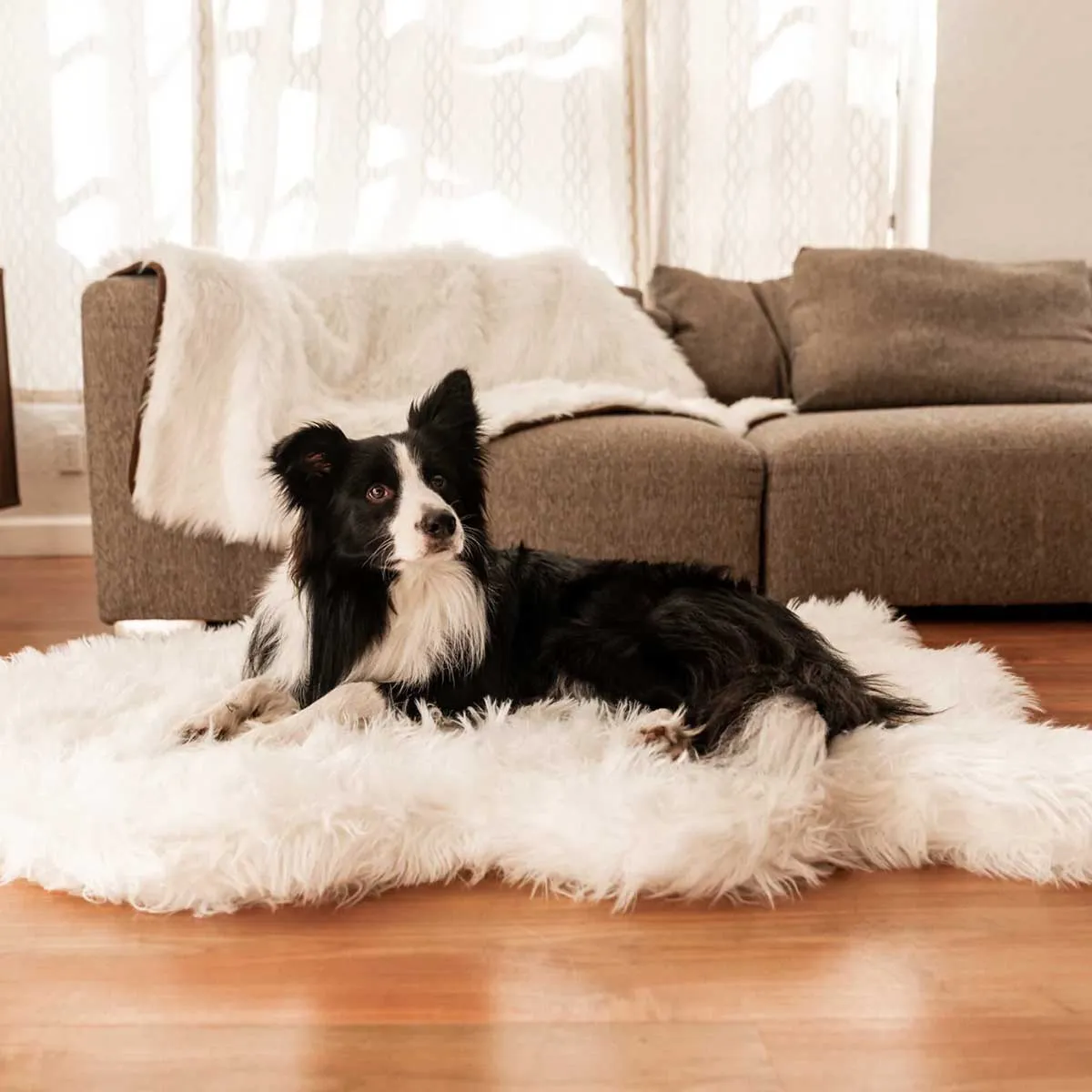 PupRug Faux Fur Curved Orthopedic Dog Bed - Polar White