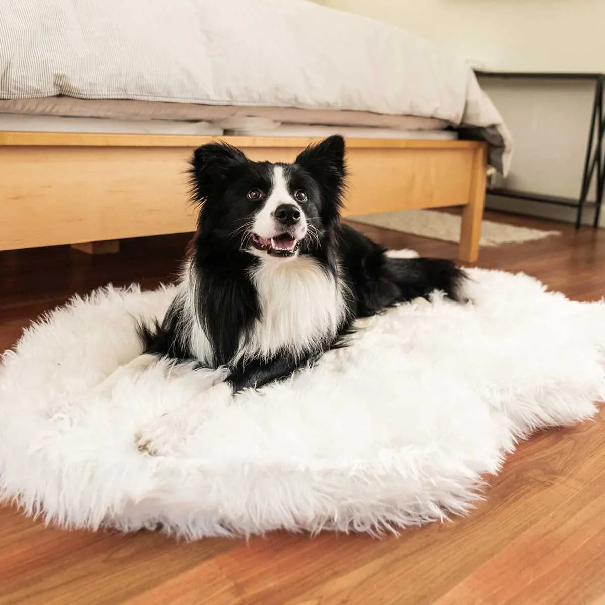 PupRug Faux Fur Curved Orthopedic Dog Bed - Polar White