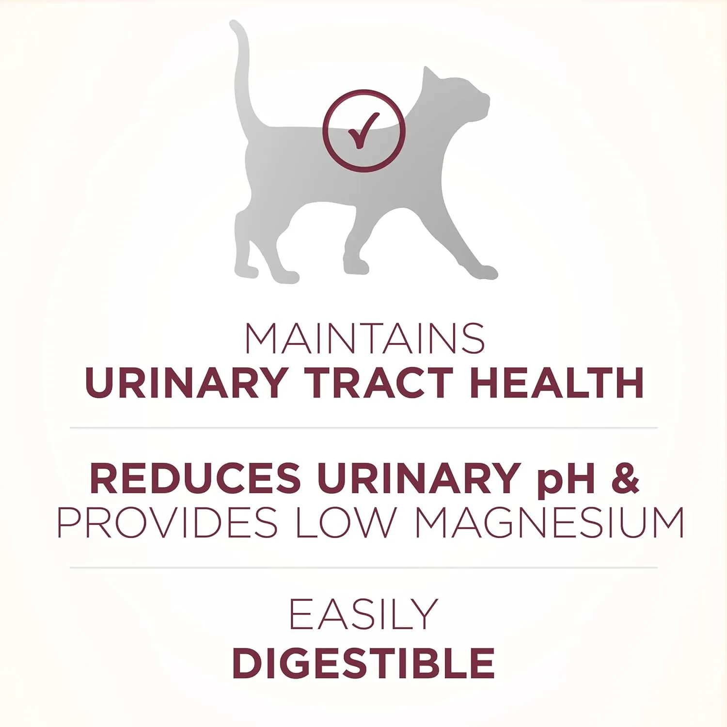 Purina ONE High Protein Dry Cat Food,  Plus Urinary Tract Health Formula - 16 lb. Bag