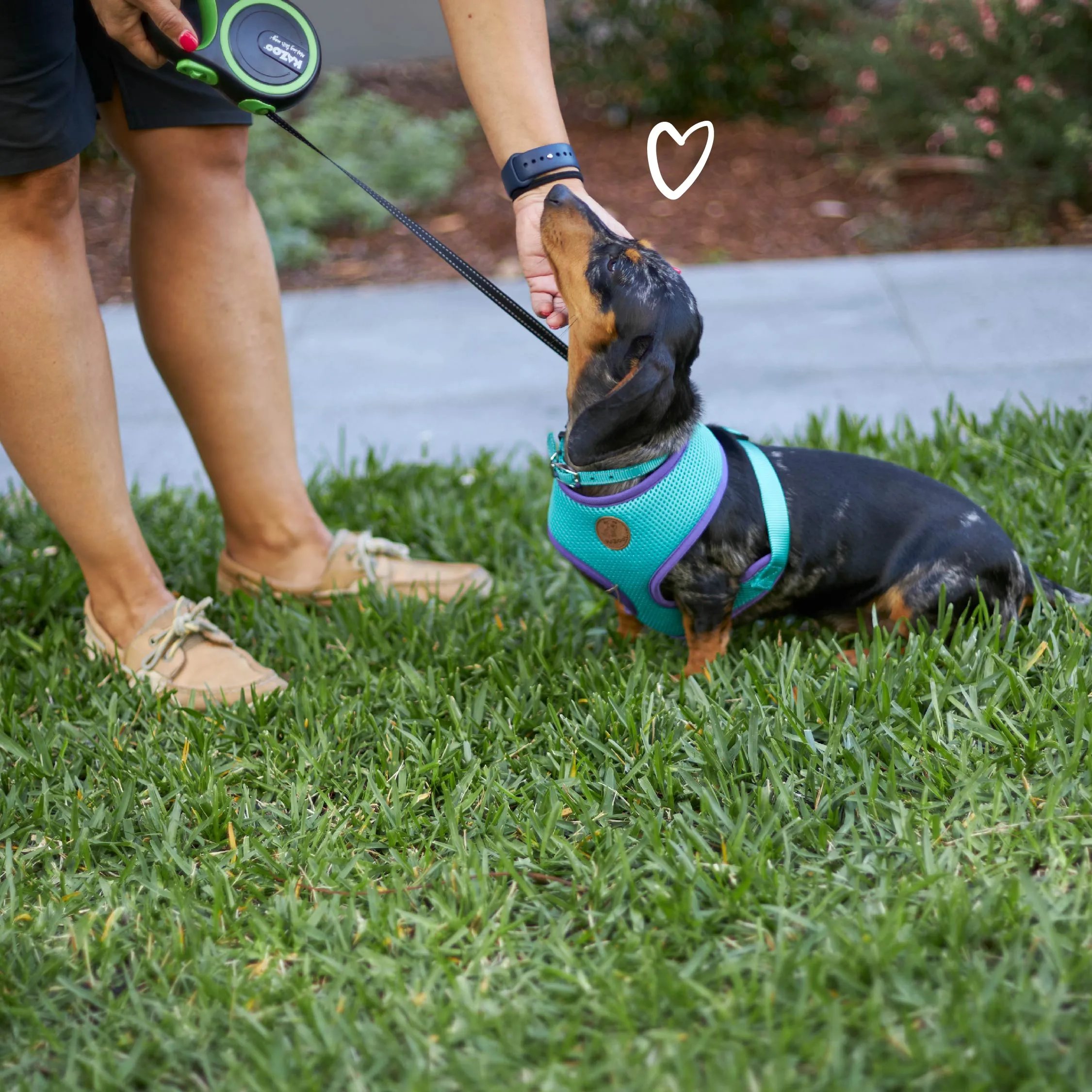 Retractable Dog Lead - 5 metre - up to 20kg