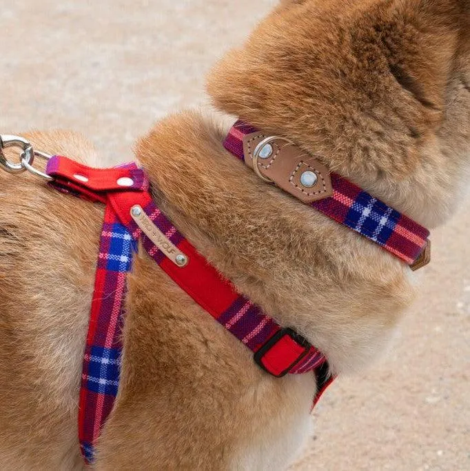 Shuka Red Dog Collar