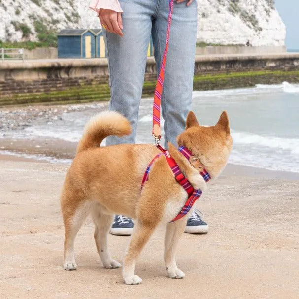 Shuka Red Dog Collar