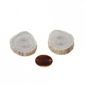 Soft Density Toy Whole Antler Chew - 2 per pack