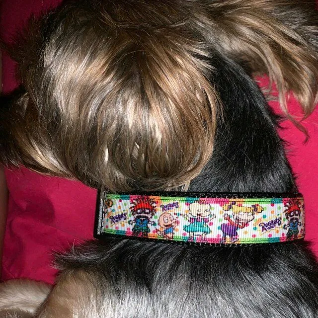 Space dog collar handmade adjustable buckle collar 1"wide or leash Petcollarshandmade