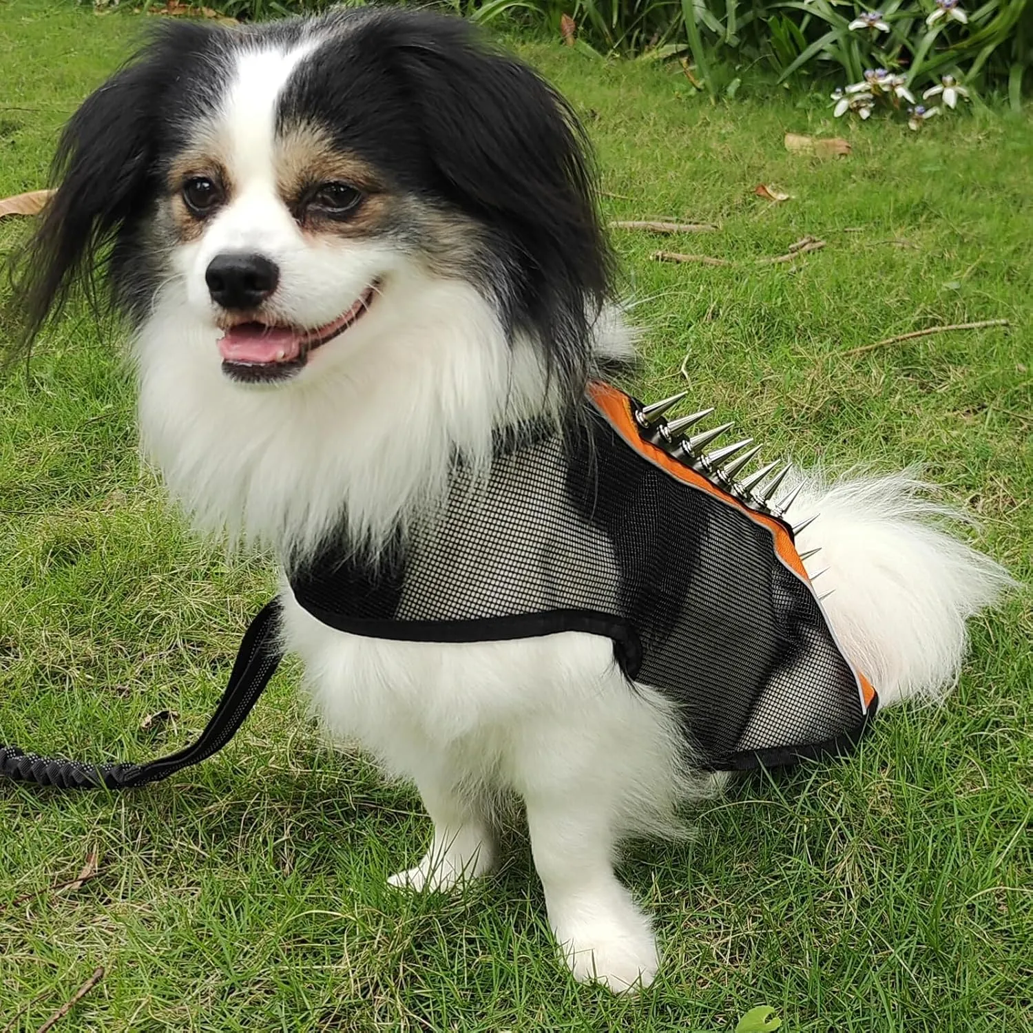 Spike Mesh Dog Harness - Summer Reflective Jacket with Spikes, Waterproof Coat for Small to Large Dogs - Orange