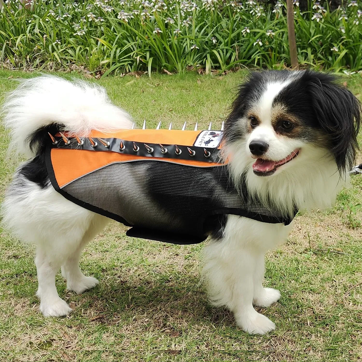 Spike Mesh Dog Harness - Summer Reflective Jacket with Spikes, Waterproof Coat for Small to Large Dogs - Orange