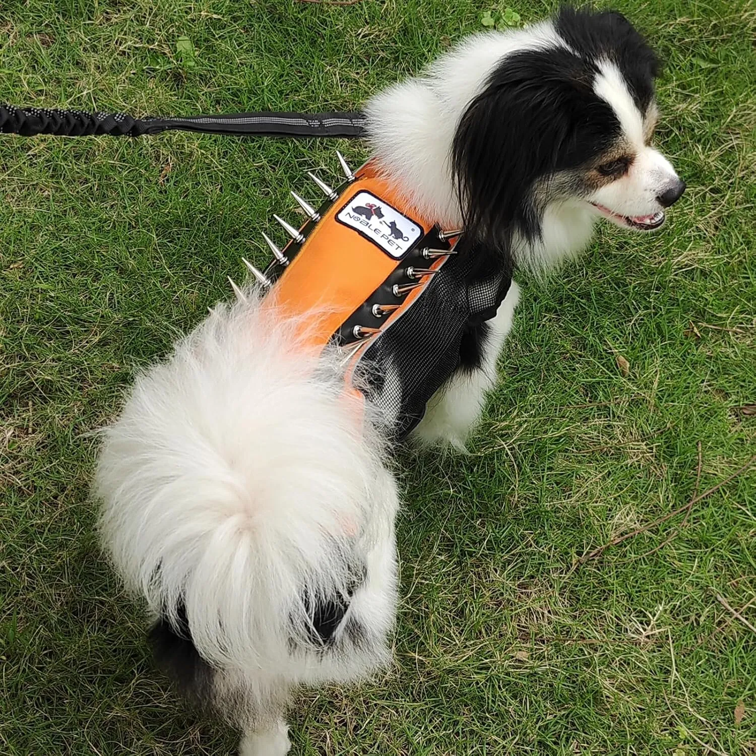 Spike Mesh Dog Harness - Summer Reflective Jacket with Spikes, Waterproof Coat for Small to Large Dogs - Orange