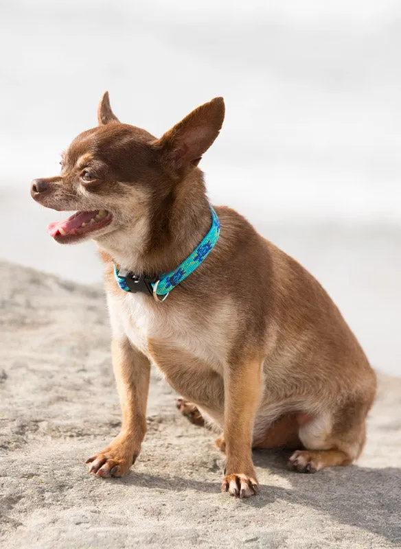 Turtle Reef Adjustable Dog Collar