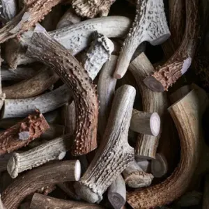 Whole DEER Antler by the lb